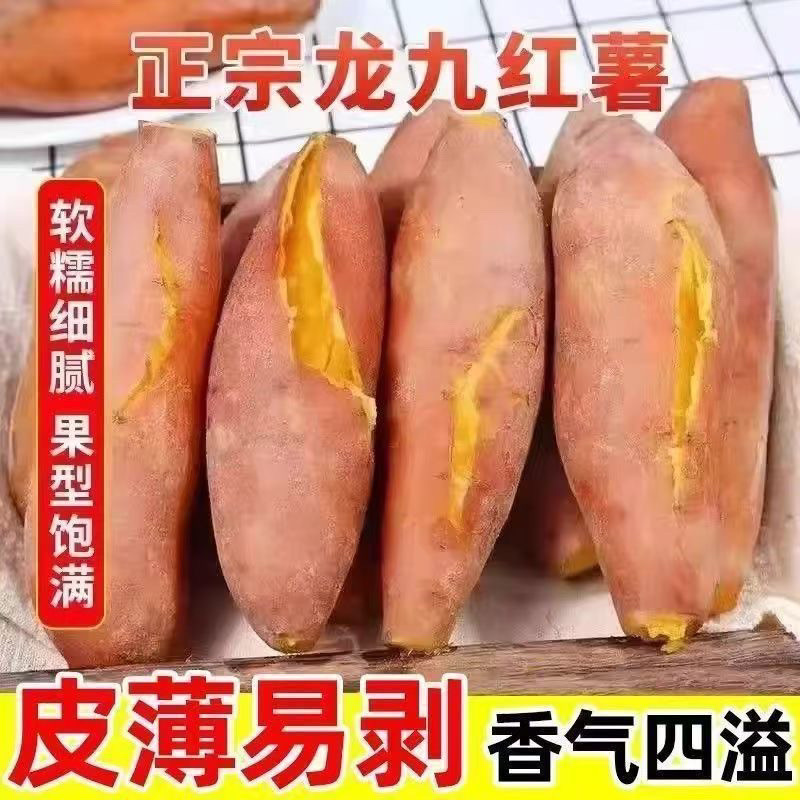 新鲜龙九黄金红蜜薯黄心软糯香甜