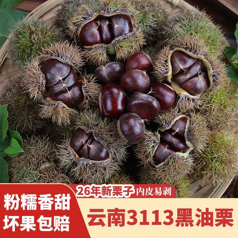 2026新货正宗农家新鲜板栗生栗子
