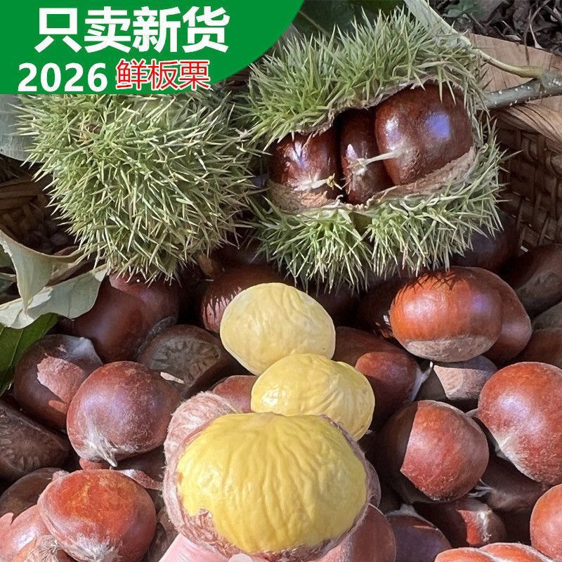 2026新货正宗农家新鲜板栗生栗子