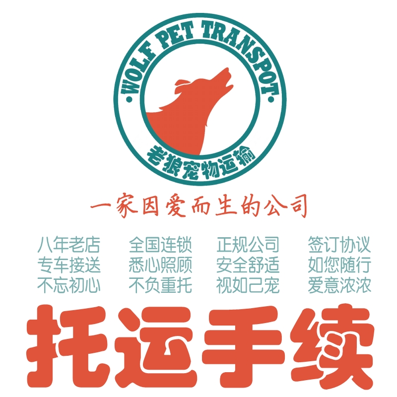 宠物托运检疫证代办猫狗兔子鸽子