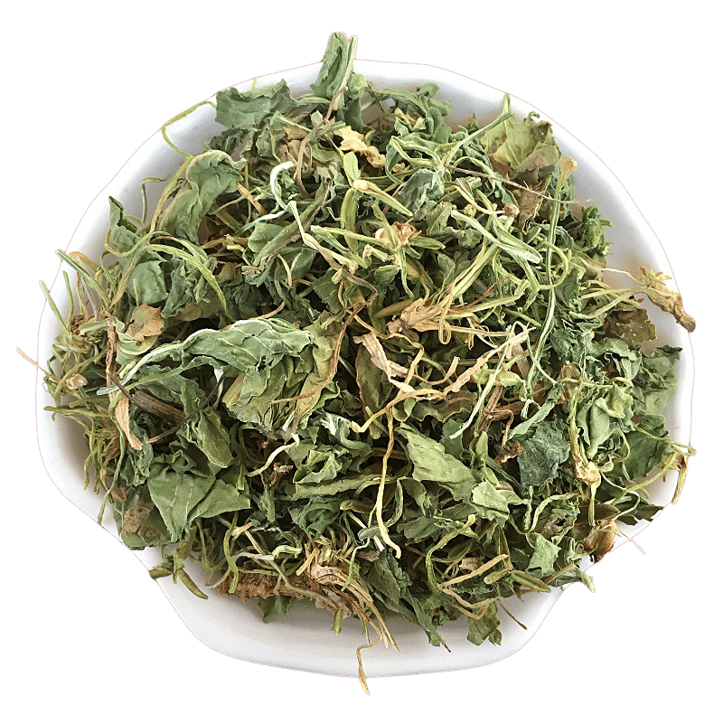 紫花地丁中药材新货地丁草犁头草铧头草野堇菜光瓣堇菜光萼堇菜
