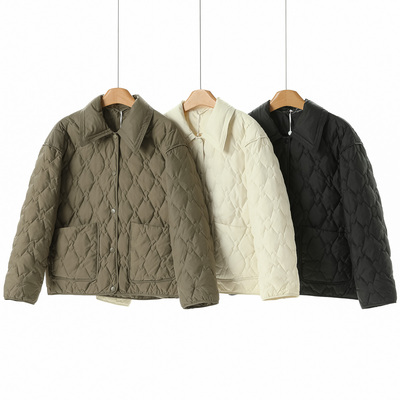 1698西湖阁老【弟】冬装 轻便保暖日常基础款摁扣羽绒服518