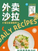Shashi Online's refreshing Roasted Sesame Salad Dressing, Japanese vinaigrette, large bottle 1.5L, commercial sweet salad dressing thumbnail 5