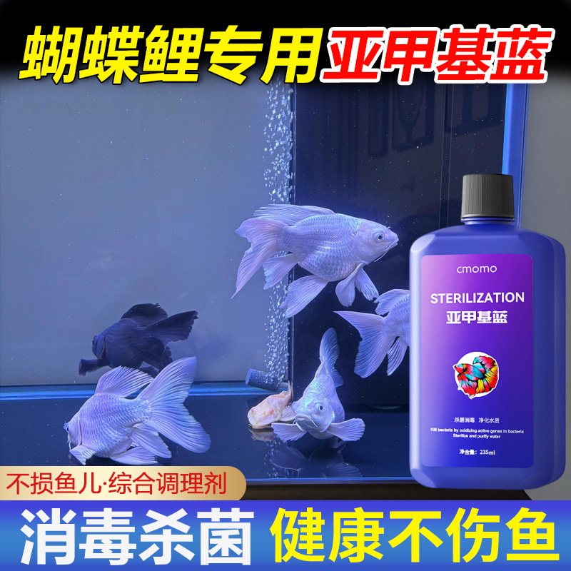 蝴蝶鲤专用亚甲基蓝溶液鱼药烂尾
