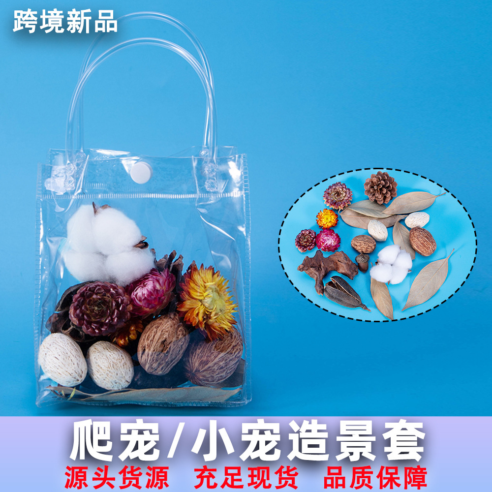 爬宠箱造景装饰用品天然干花果实套餐手工材料