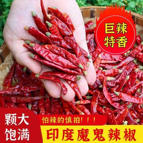 印度魔鬼辣干辣椒特辣250g变态辣