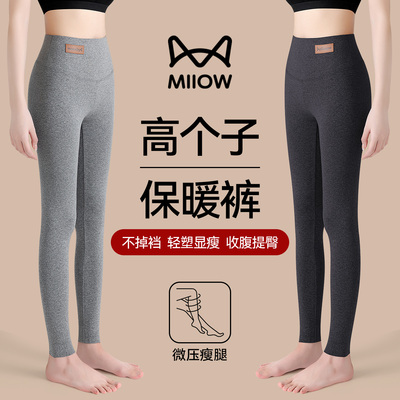 猫人纯棉大码打底裤秋冬