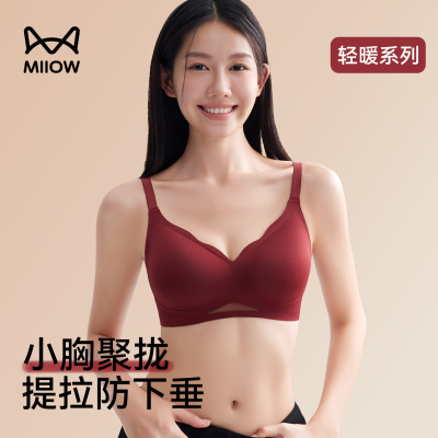 猫人小胸聚拢收副乳防下垂文胸