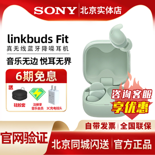 舒适WF Fit真无线蓝牙降噪耳机入耳式 LS910N 索尼LinkBuds Sony