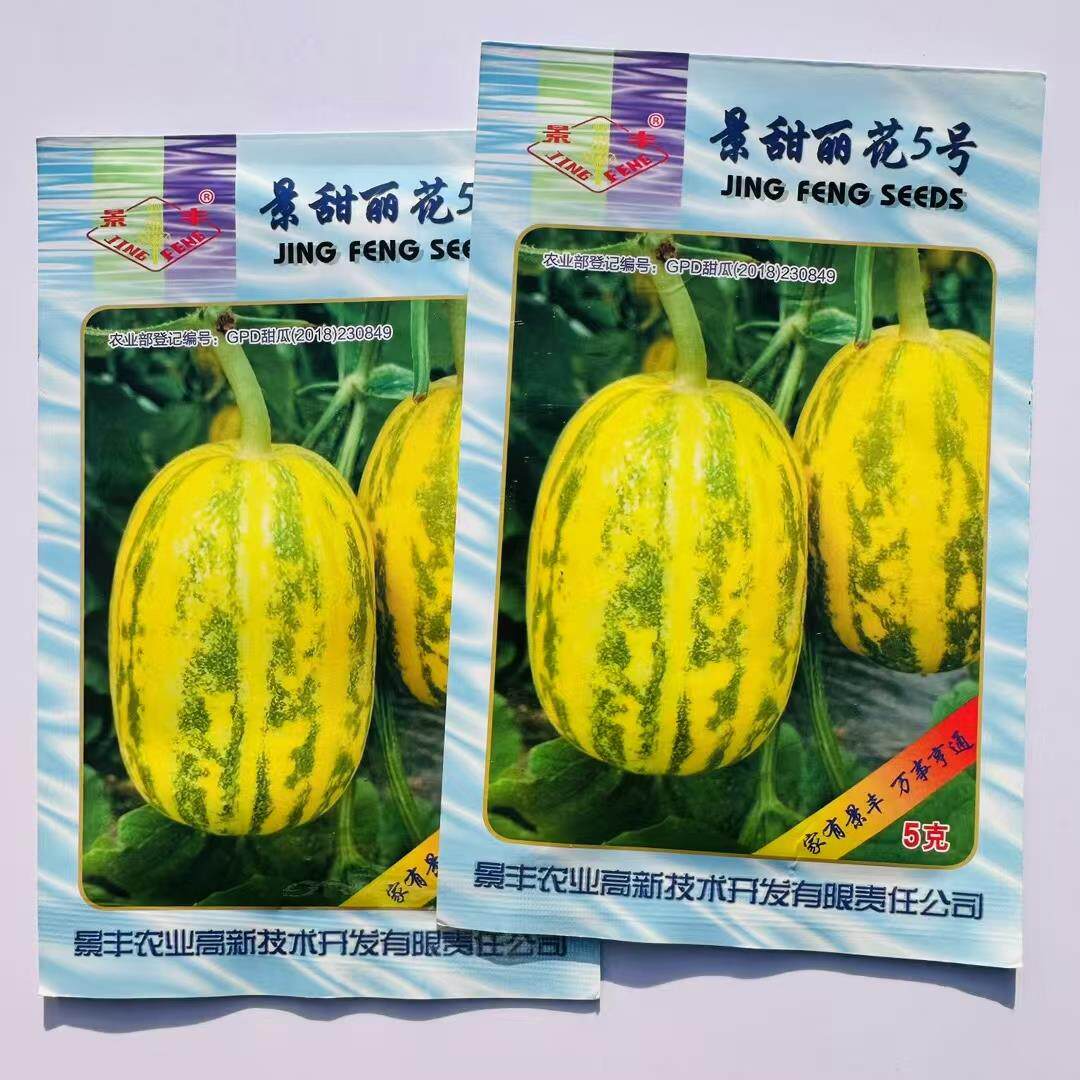 景甜丽花5号绿宝石甜瓜种子超甜绿宝香瓜大果薄皮绿肉瓜果种优质