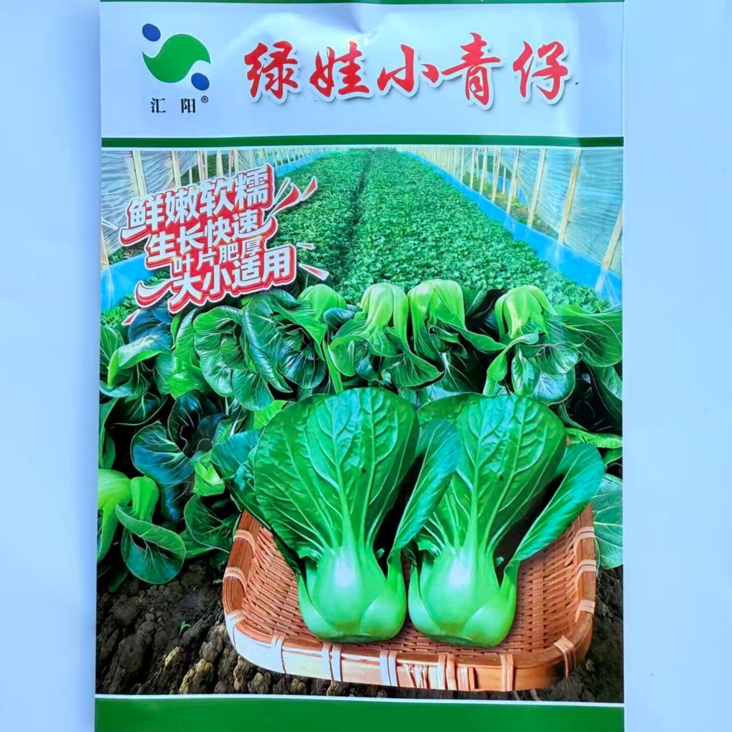 绿娃小青仔种子杂交早熟鲜嫩软糯特矮小青菜种籽农家四季蔬菜种孑