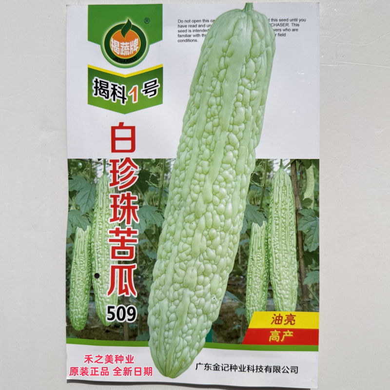 揭科1号白珍珠苦瓜种子白皮苦瓜种籽肉厚清脆农家春夏秋季播种孑