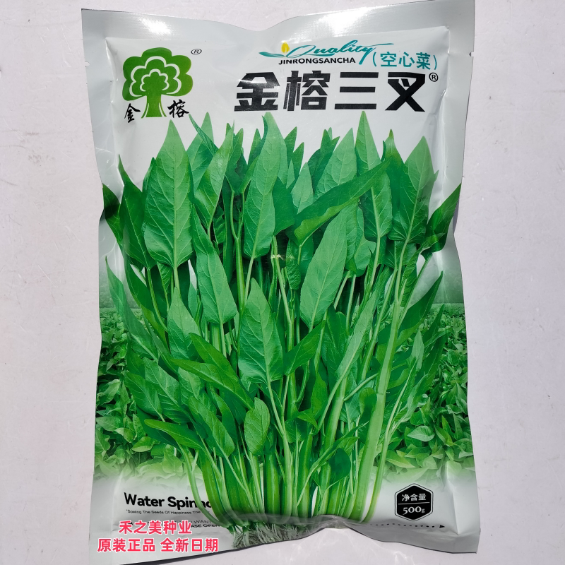 三叉空心菜种子粗梗脆嫩大叶空心菜种籽南北方春夏秋季播蔬菜种孑