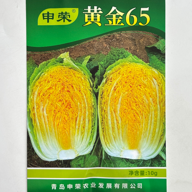 申荣黄金65黄心大白菜种子中熟杂交结球包心白菜种籽农家秋冬蔬菜