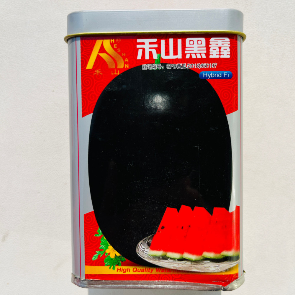 禾山黑鑫黑皮红瓤西瓜种子 抗枯萎病高产杂交中熟大西瓜种籽