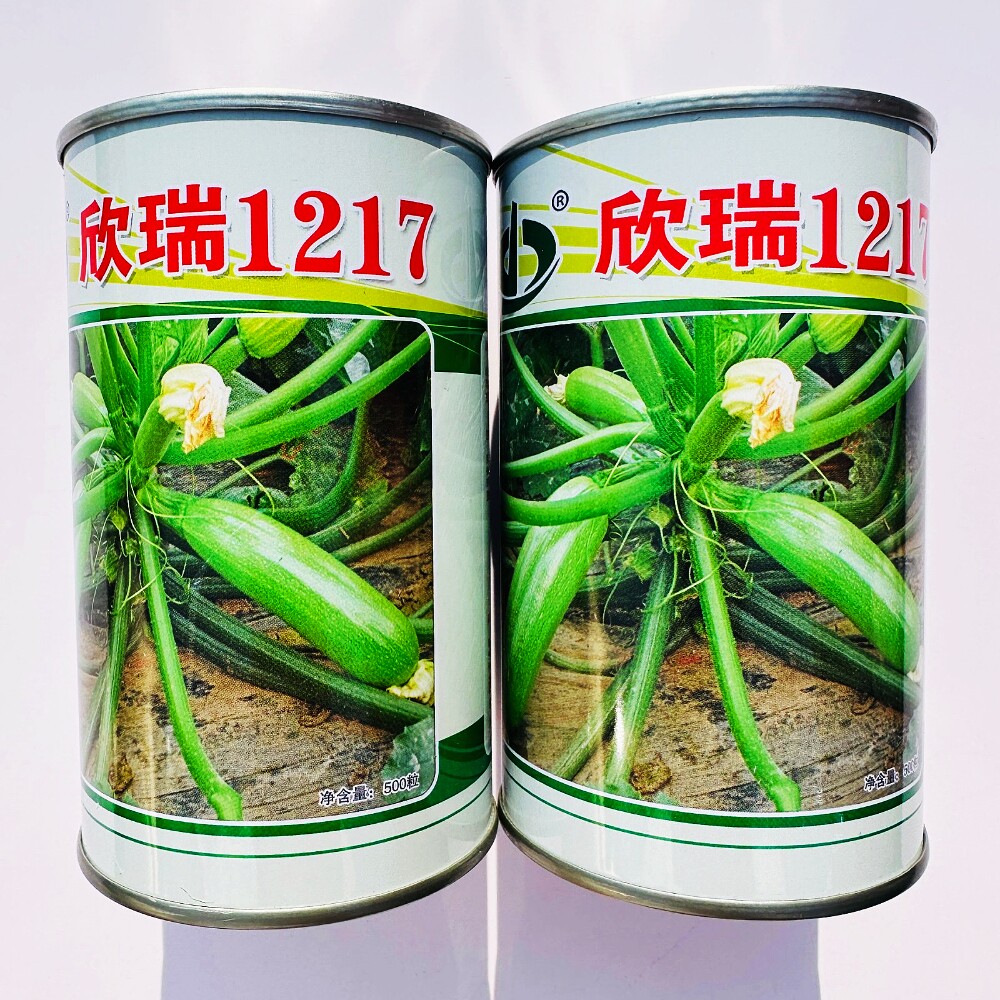 济南天瑞欣瑞1217杂交西葫芦种子早熟抗病毒高产占瓜种籽春秋季播