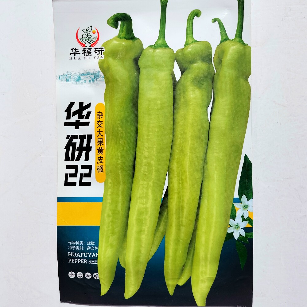 华研22杂交早中熟粗羊角型辣椒种子果皮黄绿色果大肉厚辣味适中