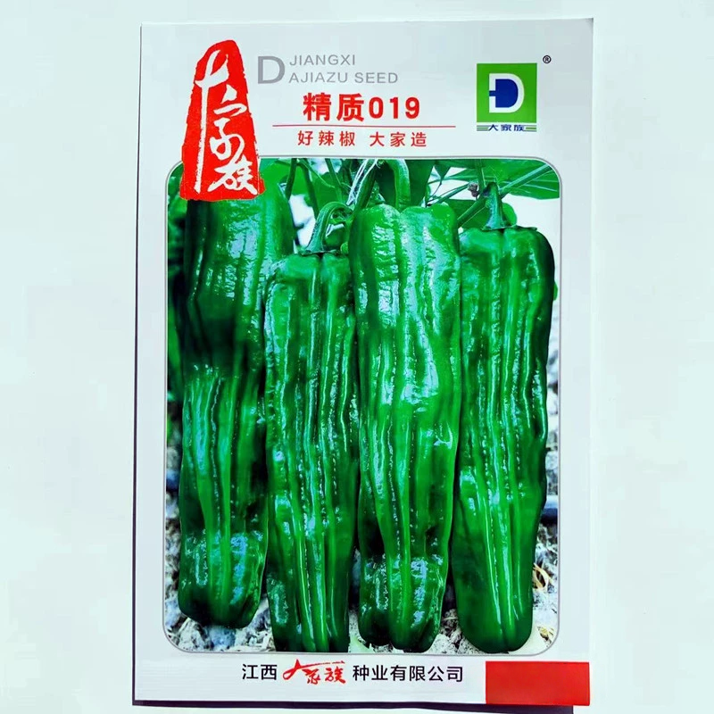 大果薄皮泡椒种籽子大家族种业早熟味辣抗病高产精质019辣椒种孑