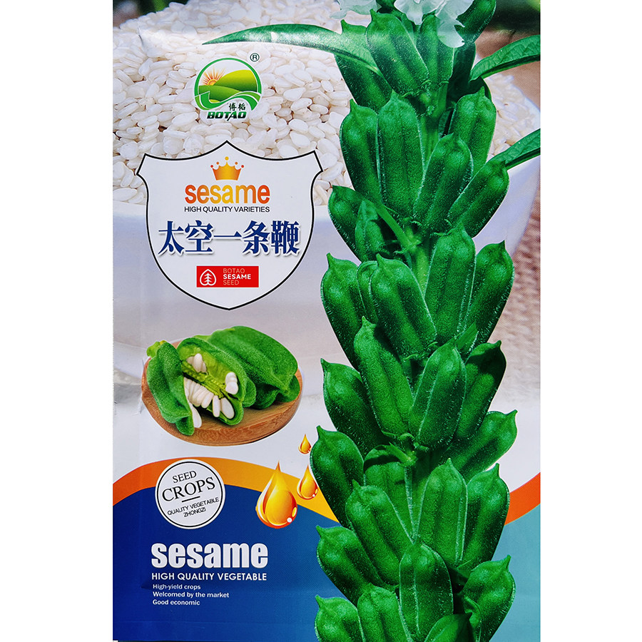 太空一条鞭白芝麻种子高产耐热耐旱蒴果密荚轴长芝麻种籽春夏季播