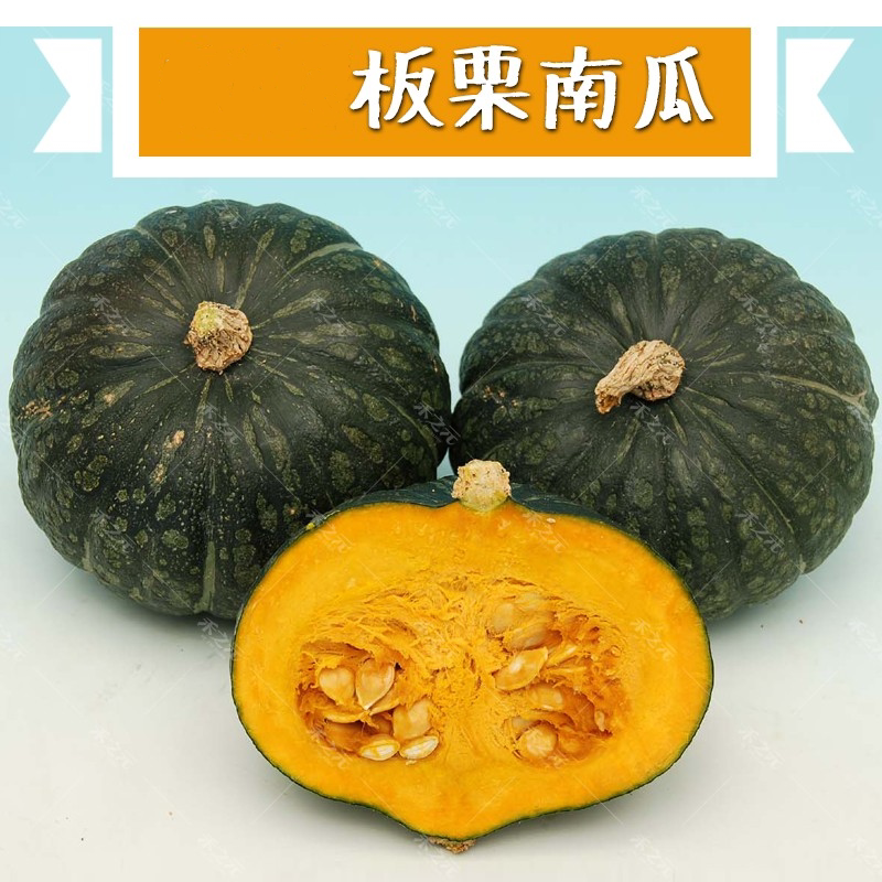 新疆板栗南瓜种子传统板栗味四季小南瓜种籽夏秋冬新疆田园孑包邮