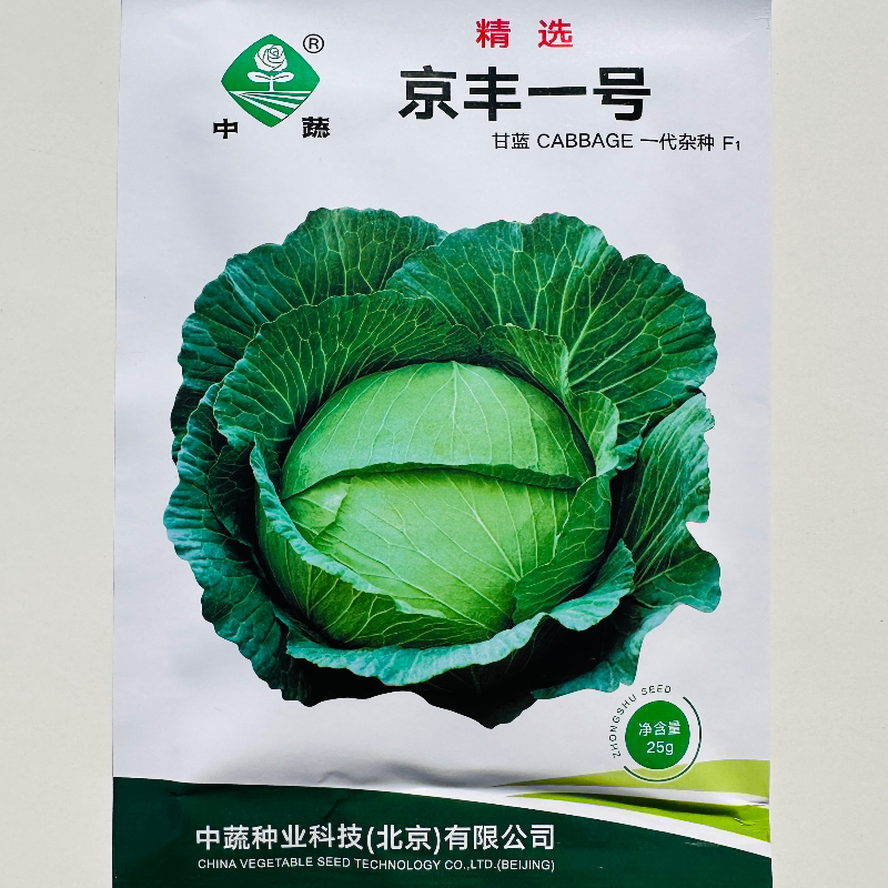 中蔬京丰一号甘蓝种子籽春秋播中晚熟扁圆形大头菜莲花白蔬菜种子
