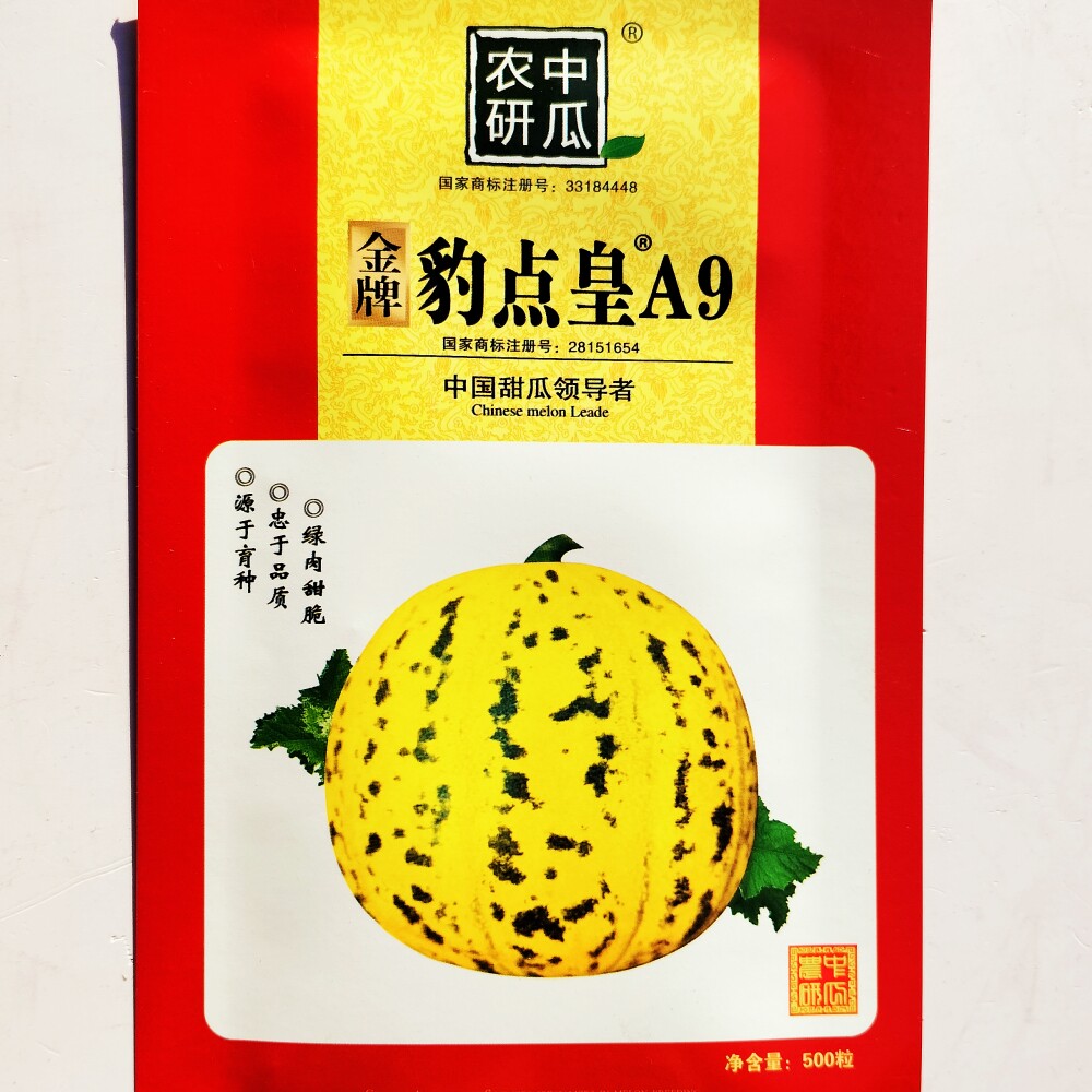 金牌豹点皇A9甜瓜种子干瓤绿肉甜脆杂交早熟抗裂甜度高香瓜种籽孑
