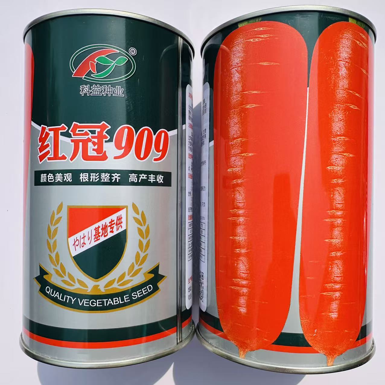 红冠909改良三红胡萝卜种子红皮红瓤品质好胡萝卜种籽春秋季播种