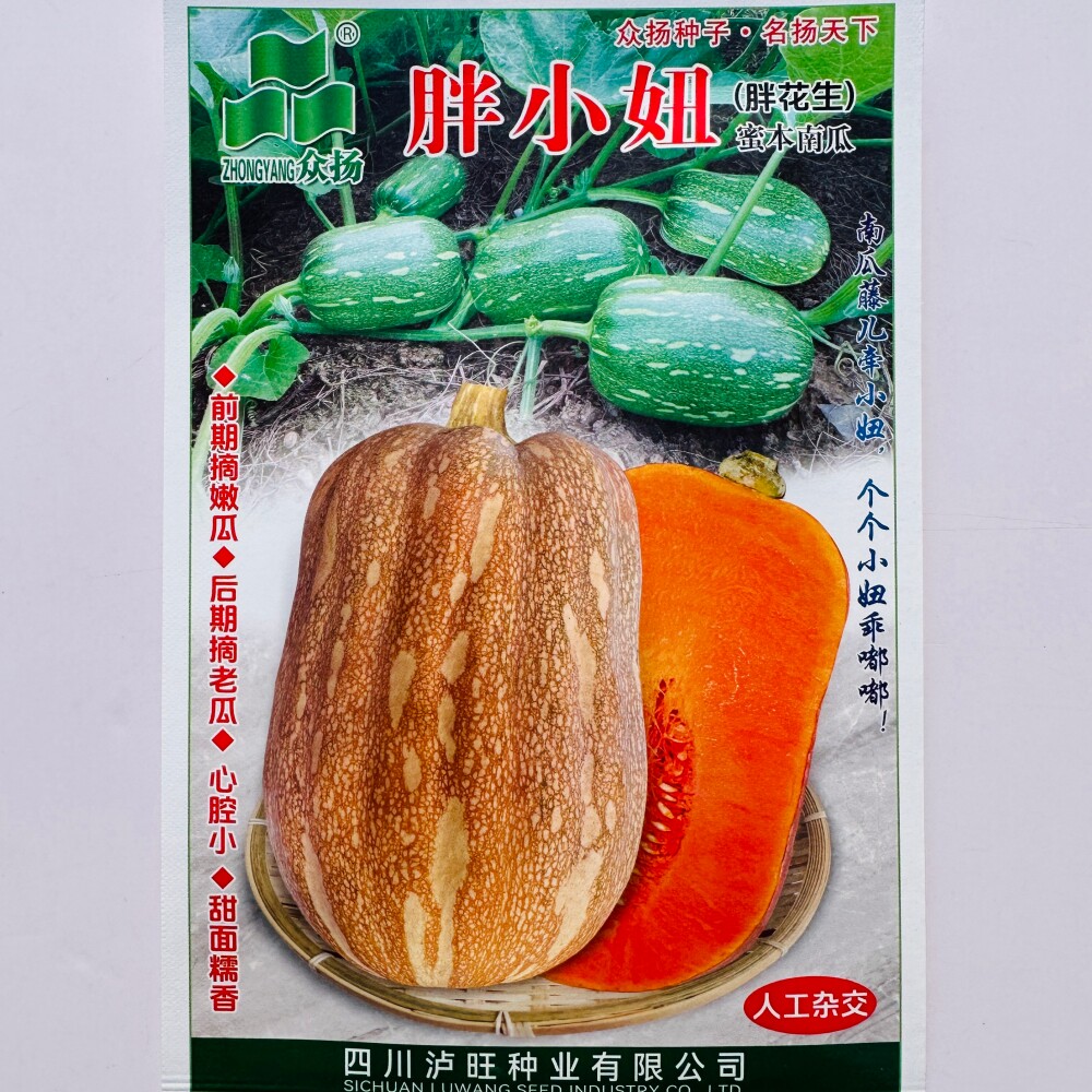 泸旺胖小妞蜜本南瓜种子甜面糯香口感好高产早熟花生小南瓜种籽孑