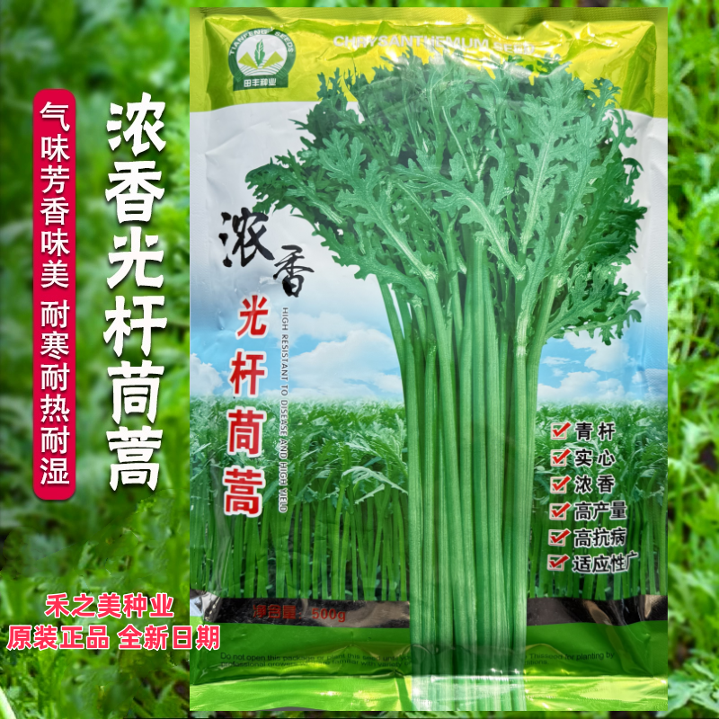 浓香光杆茼蒿种子小叶四季皇帝茼蒿菜种菊花籽种青菜秋冬季蔬菜孑