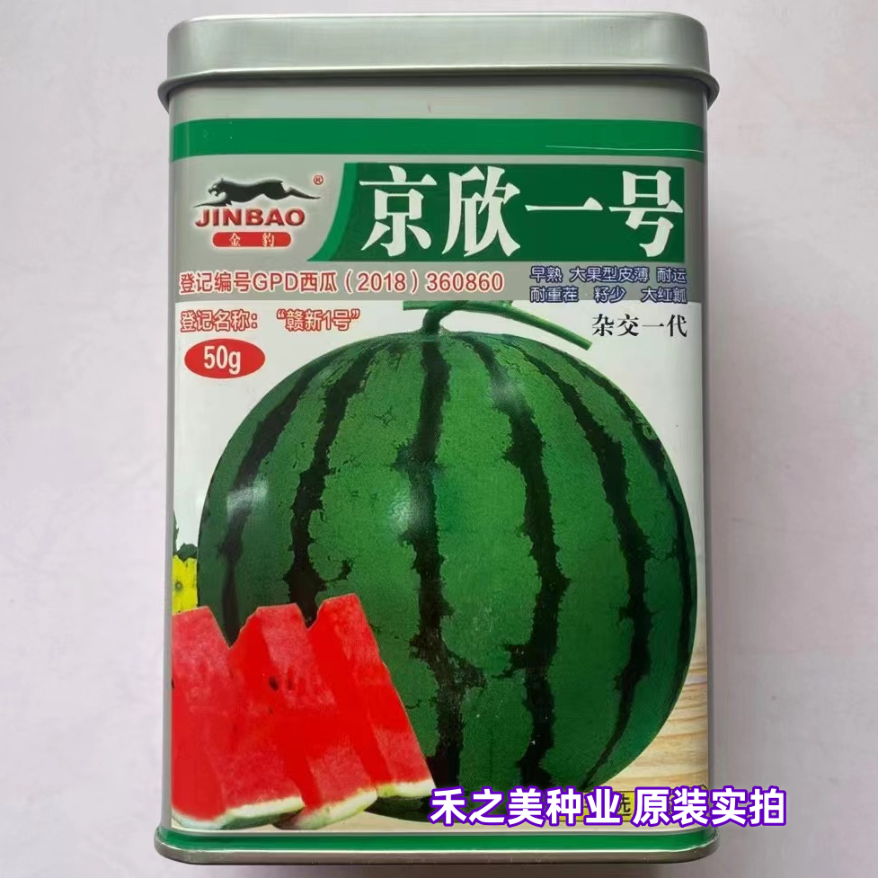 赣新京欣一号二号西瓜种籽孑西瓜种子籽少皮薄早熟耐高温杂交一代