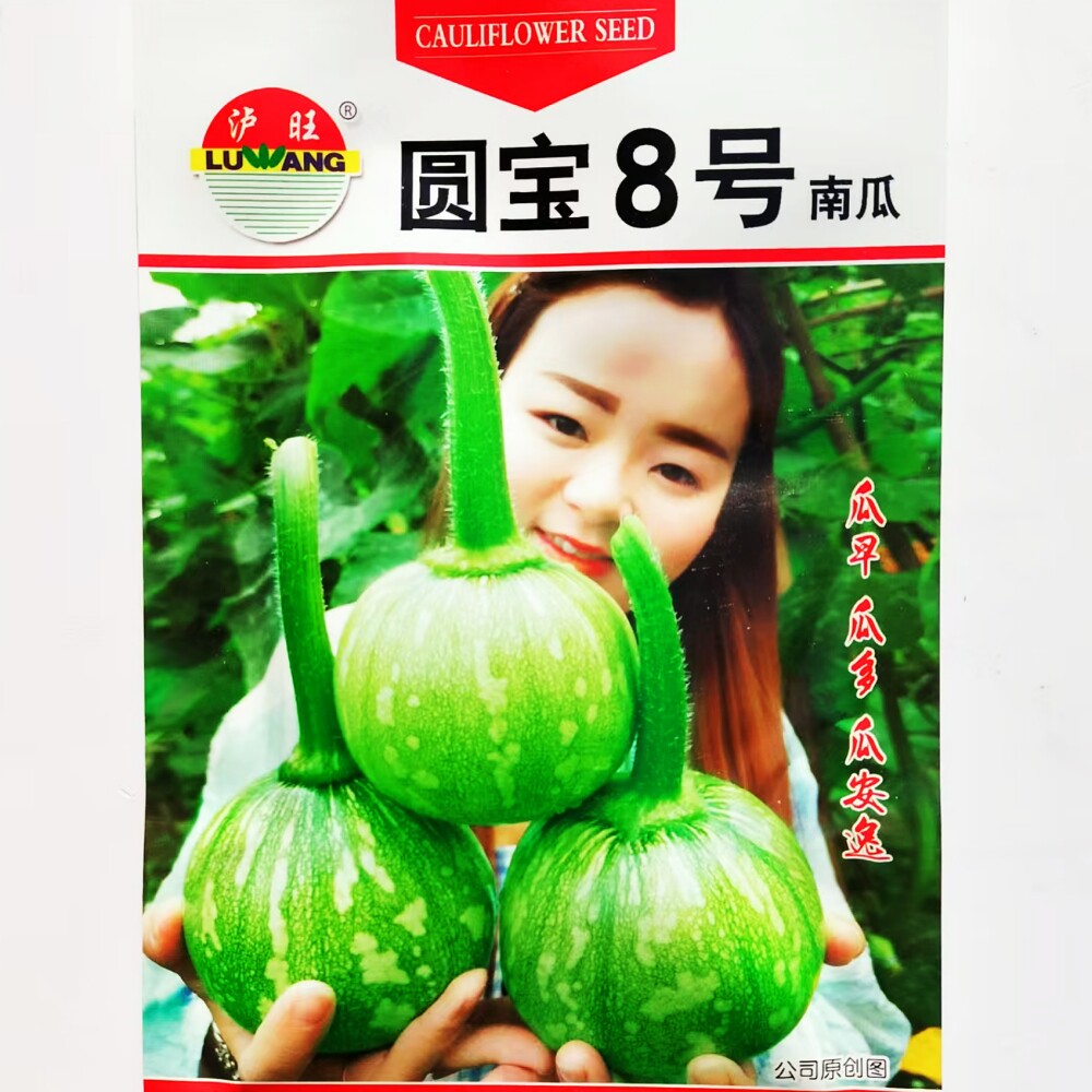 圆宝8号圆南瓜种子杂交早熟高产耐寒嫩南瓜种籽口感好农家春季播