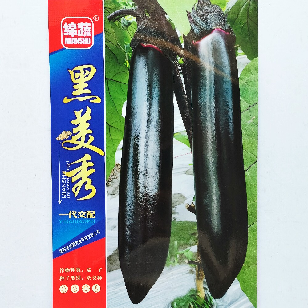 绵蔬黑美长黑亮茄子种子杂交早熟长棒茄种籽农家春秋季播蔬菜种孑