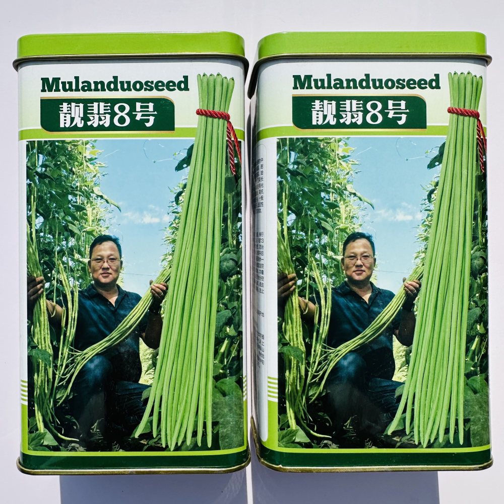 慕兰多靓翡8号豇豆种子中早熟翠绿厚肉耐高低温耐湿抗逆长豆角籽