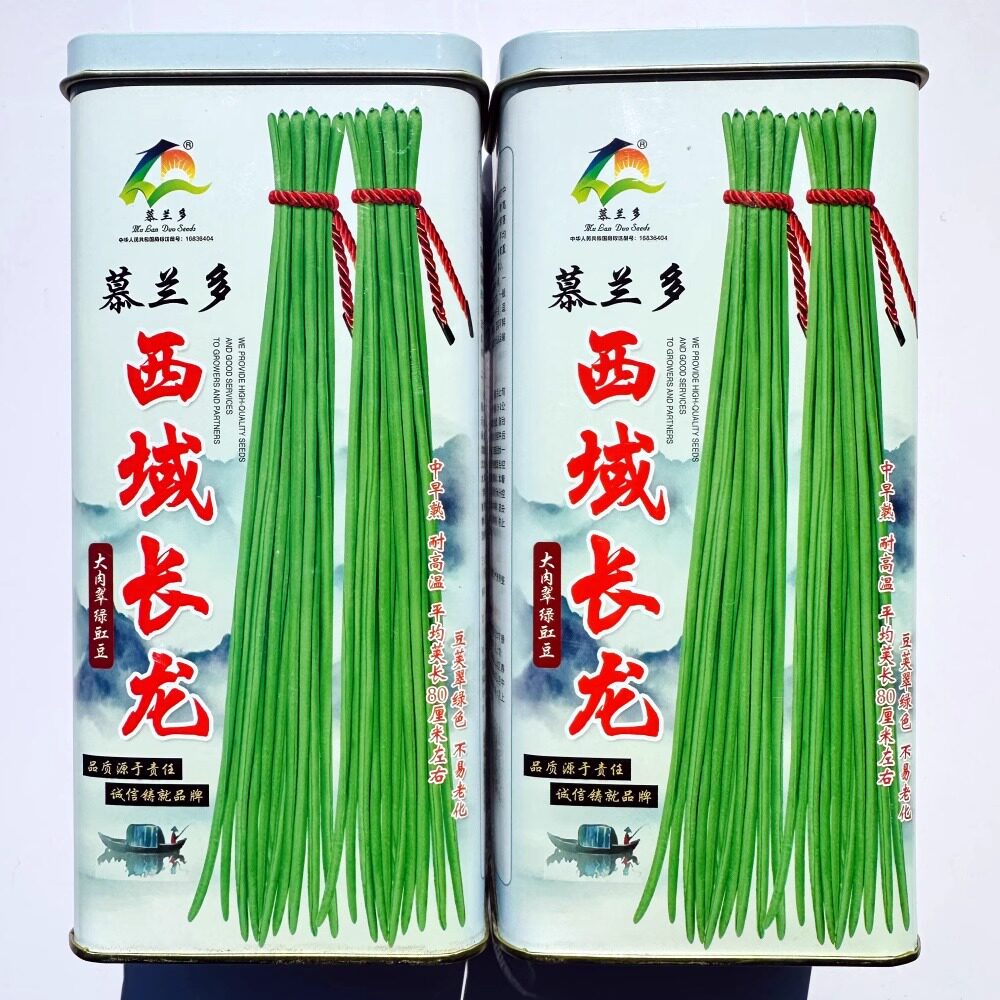 西域长龙长豇豆种子早熟荚长翠绿色长豆角种籽高产抗病耐高温蔬菜