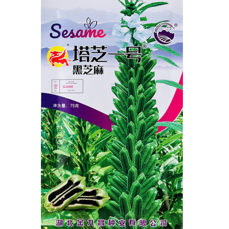 塔芝一号黑芝麻种子高产高油黑芝麻种籽南北方农家四季蔬菜种孑