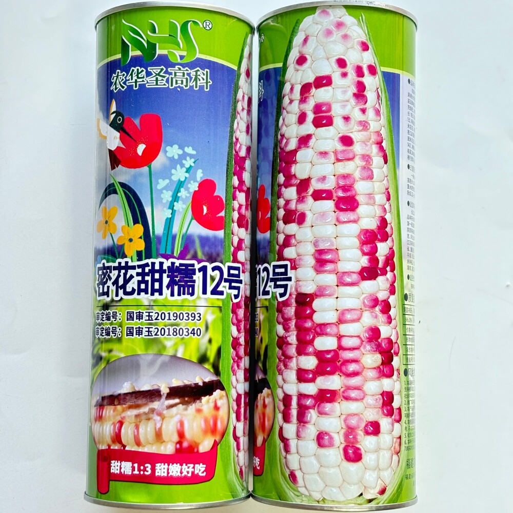 密花甜糯12号彩色玉米种子春夏秋种植鲜食高产大棒彩甜糯玉米种籽