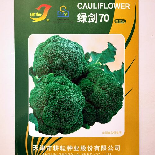 绿剑70西兰花种籽抗病早中熟杂交花椰菜种子大田基地秋季蔬菜种孑