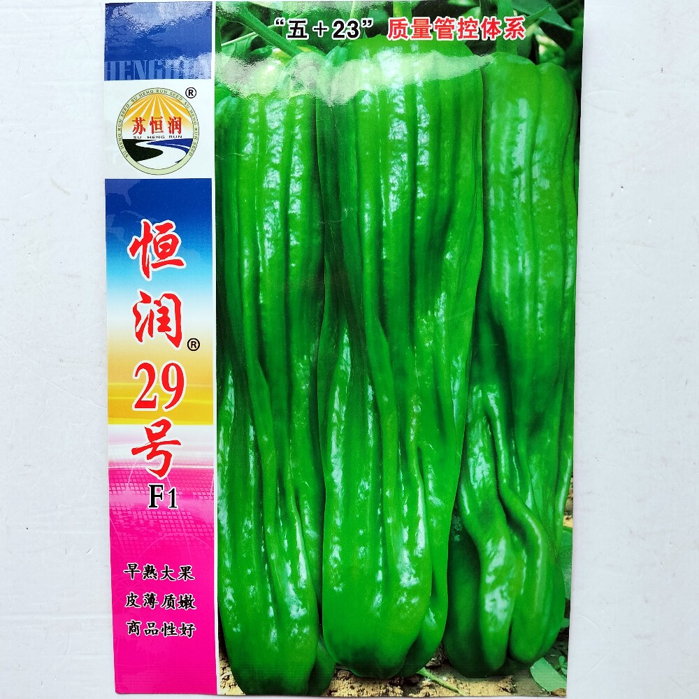恒润29号大果薄皮泡椒种子杂交早熟辣椒种籽春秋冬季育苗播种蔬菜