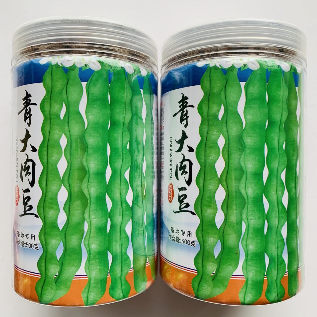 华渝青大肉豆种子白花绿荚抗病高产四季豆角种籽大田基地春秋季播