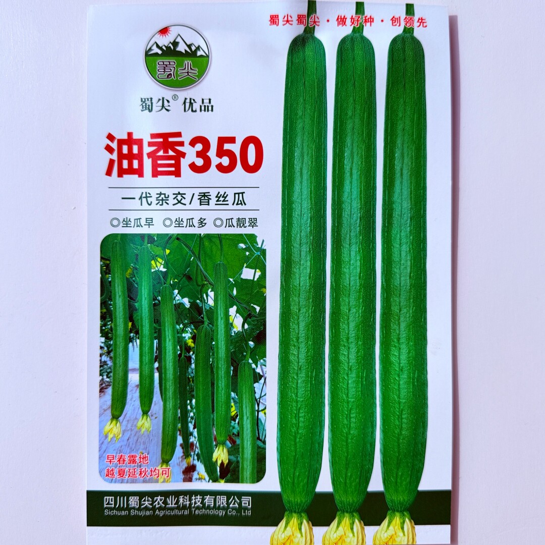 蜀尖油香350长香丝瓜种子高产早熟翠绿油亮丝瓜种籽农家春秋季播