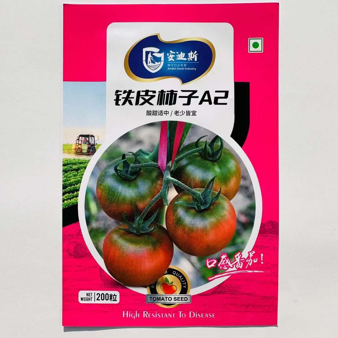 正宗铁皮柿子丹东西红柿种子苗水果草莓番茄种籽盆栽四季蔬菜种孑
