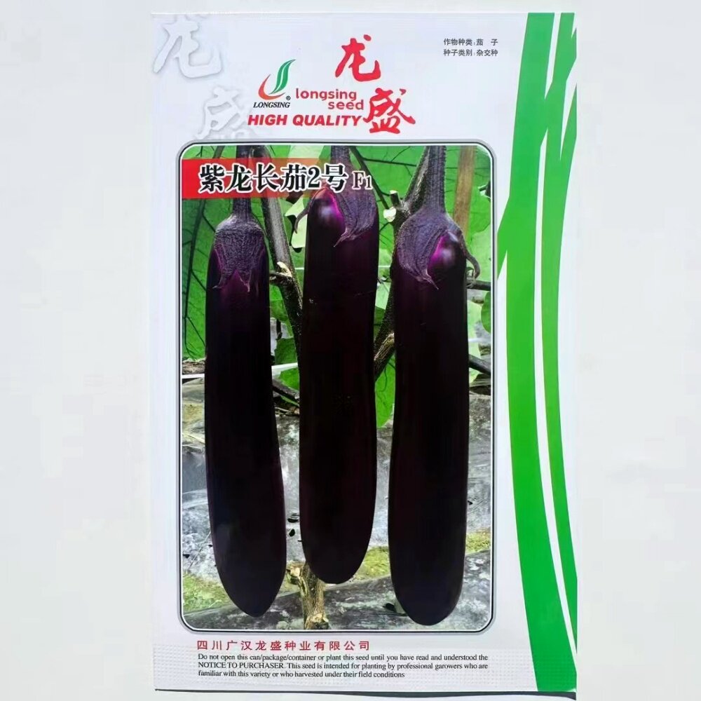 紫红长茄种籽紫龙长茄2/6号杂交一代抗病中熟茄子种子春夏秋季播