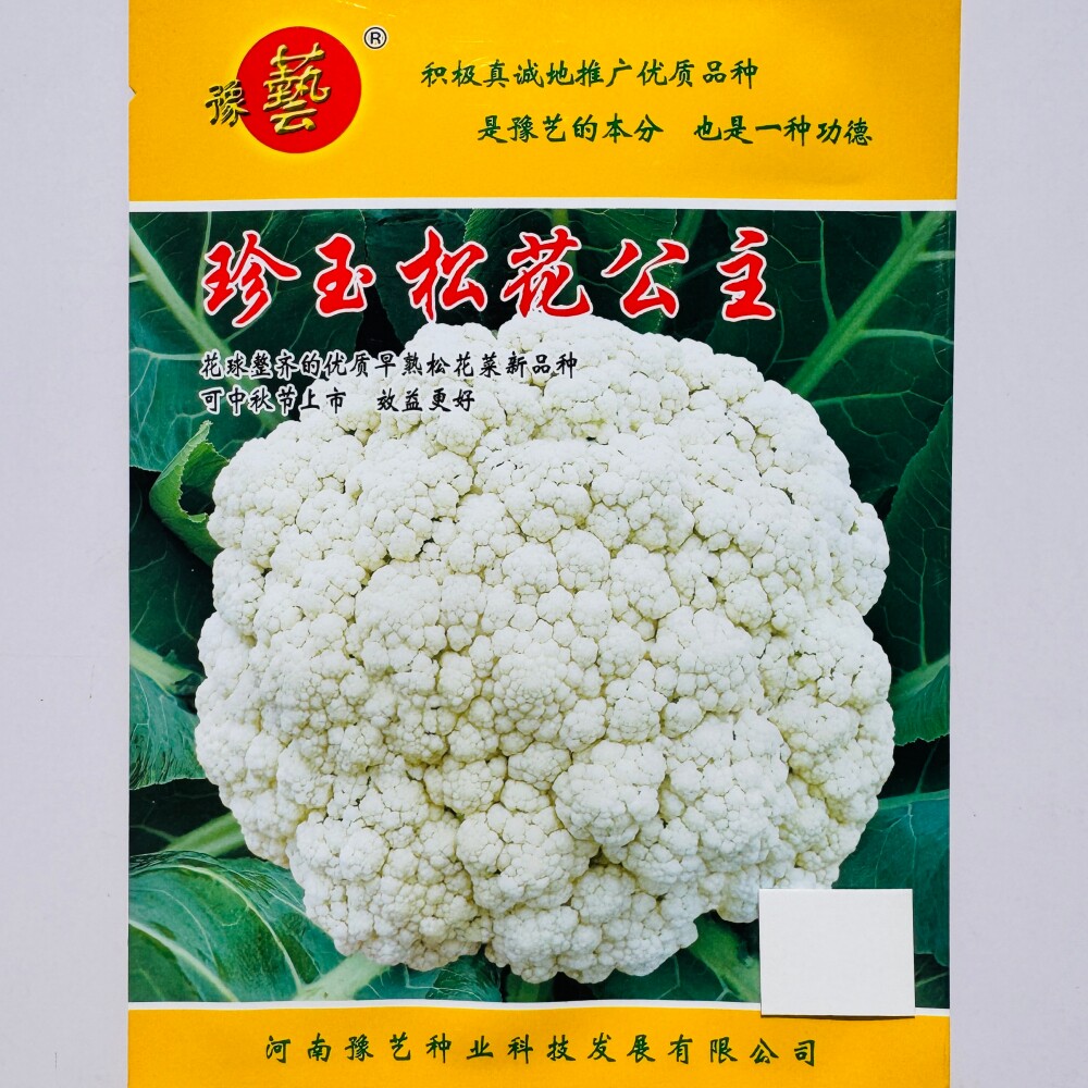 豫艺珍珠松花公主白花菜种子花球整齐松大青梗花椰菜种籽秋季播种