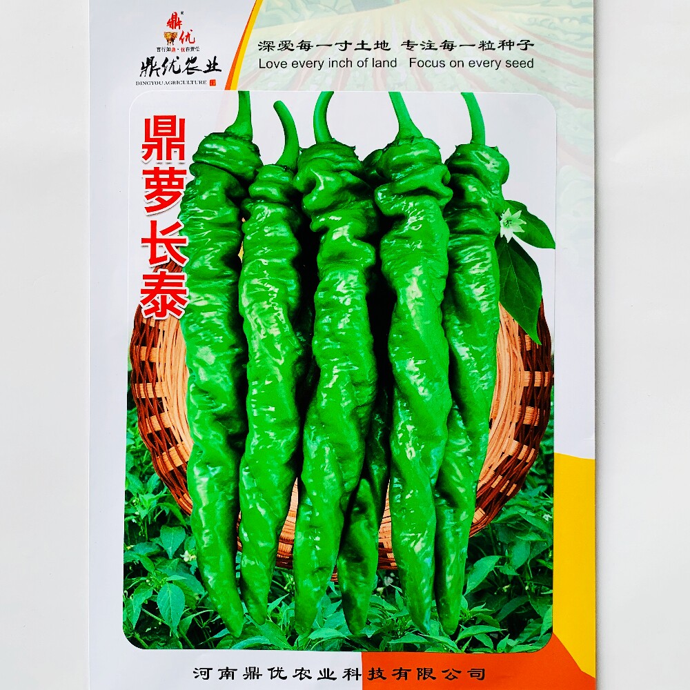 鼎优鼎萝长泰螺丝椒种子抗病高产香辣口感好杂交辣椒种籽春秋季播