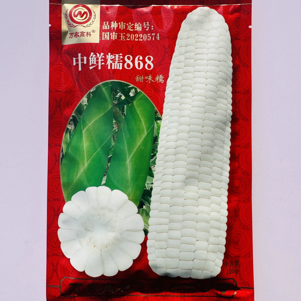 万农高科中鲜糯868甜味糯玉米种籽鲜食粘玉米种子农家春秋季播种