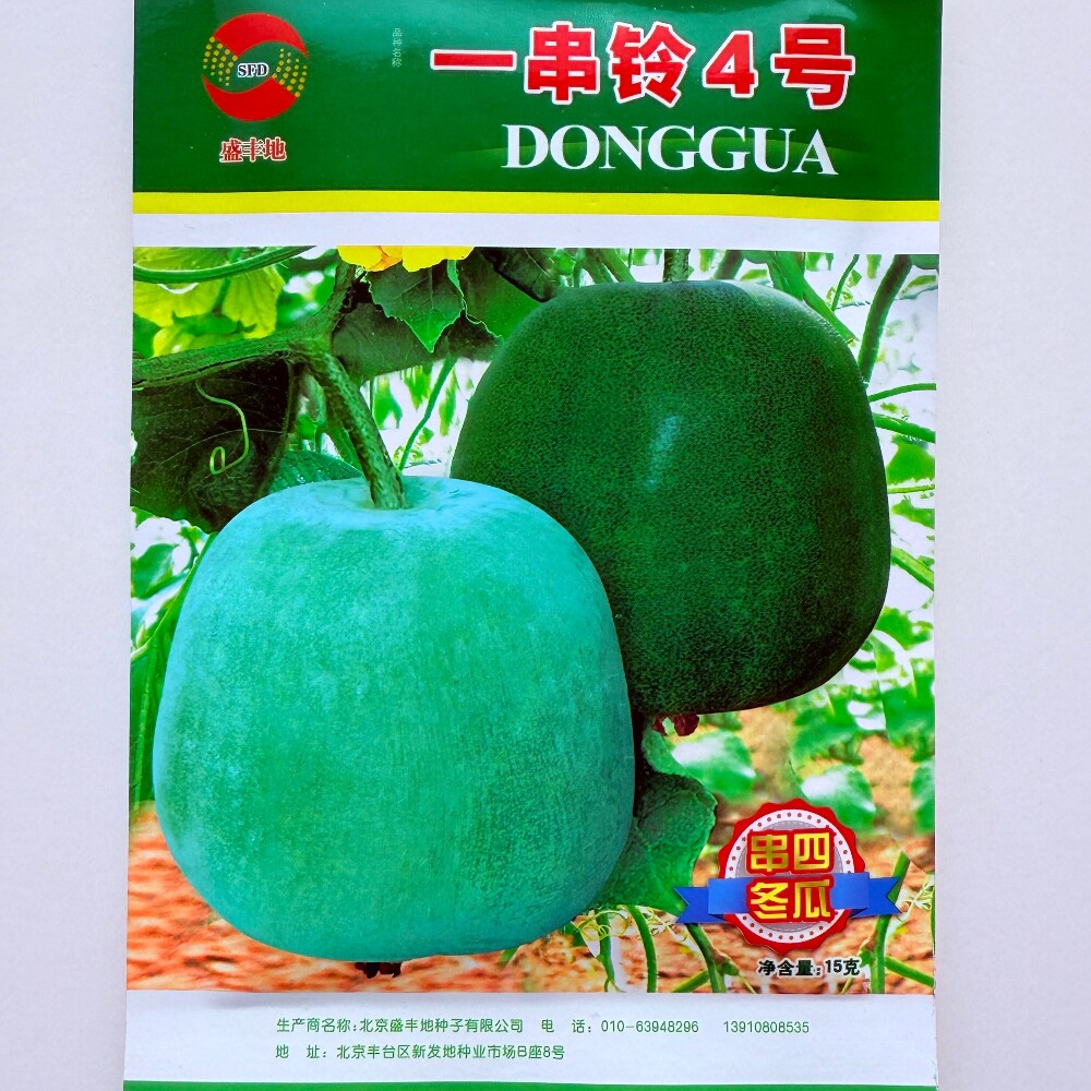 一串铃4号小冬瓜种子抗病高产早熟肉厚腔小节节瓜种籽农家春季播