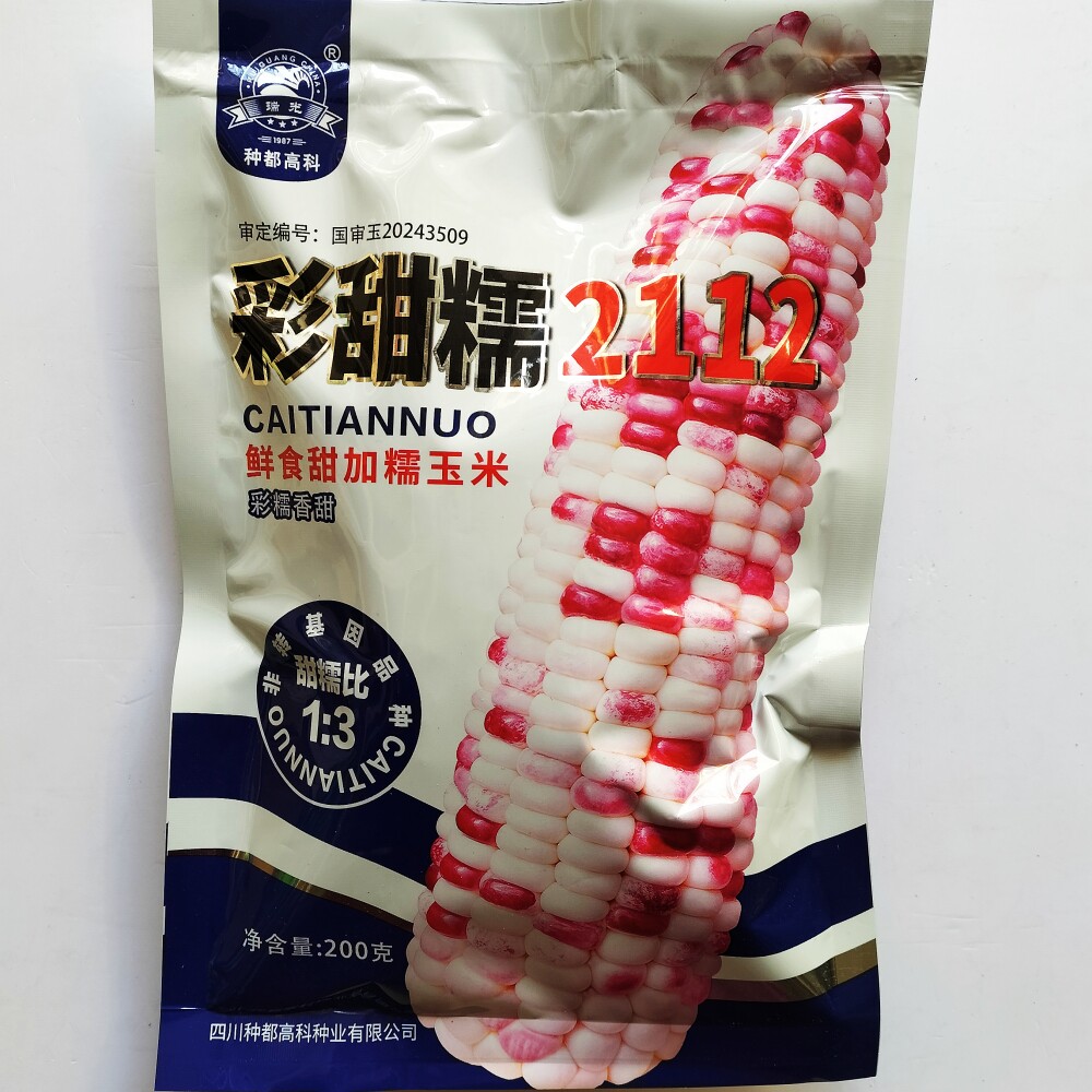 彩甜糯2112粘玉米种子大棒鲜食甜糯1比3国审黏糯玉米种籽春季播种
