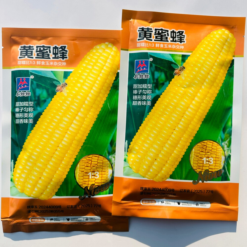 农娃娃黄蜜蜂黄甜糯玉米种子鲜食大棒高产甜加糯黄粘玉米种籽农家