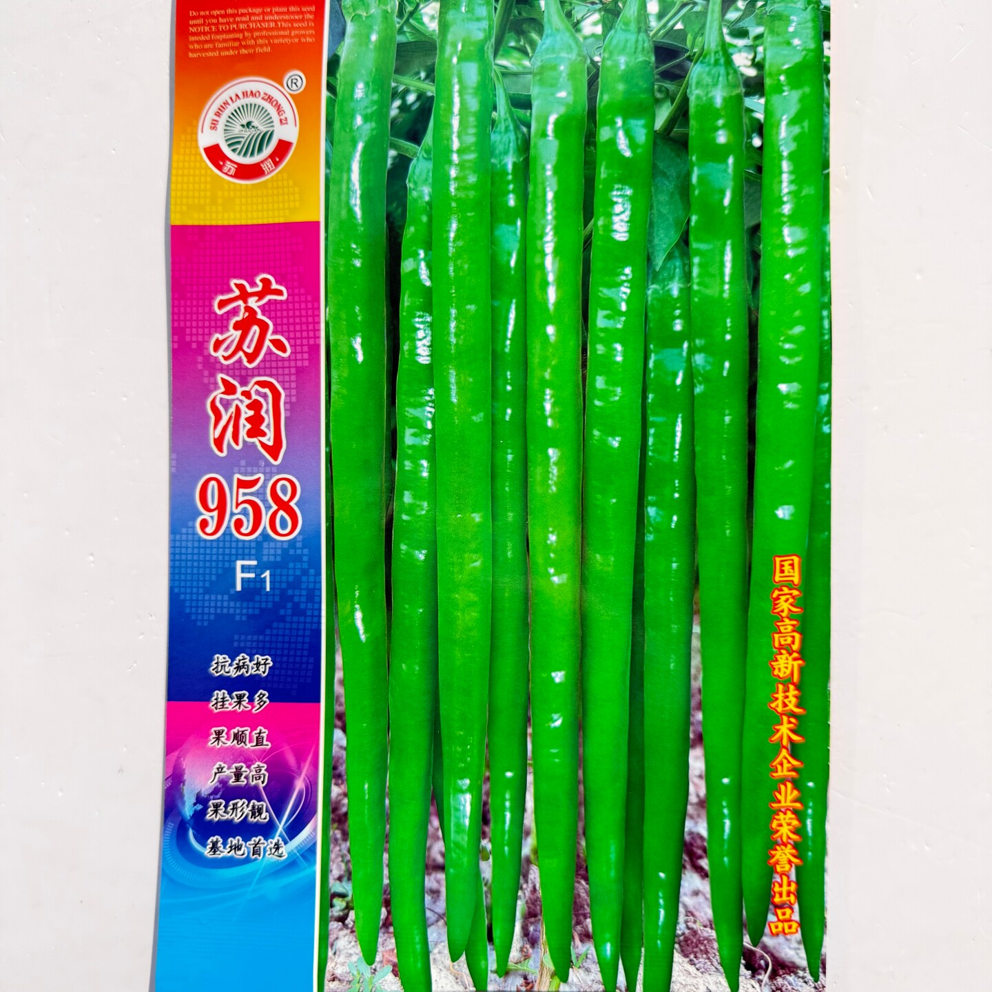 苏润958特长线椒种籽早熟高产商品性好辣椒种子大田基地春秋季播