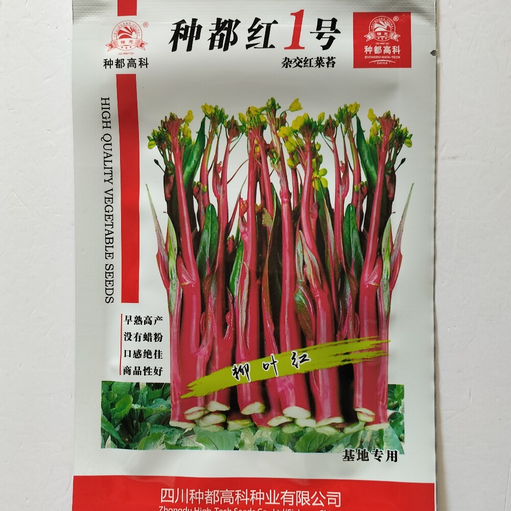 种都红1号红菜苔种子早熟高产无蜡粉耐寒红菜苔种籽农家秋季播种